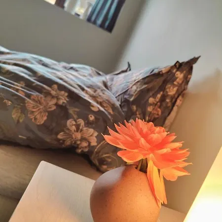 Apartament Modern And Comfortable In Attractive Neighborhood