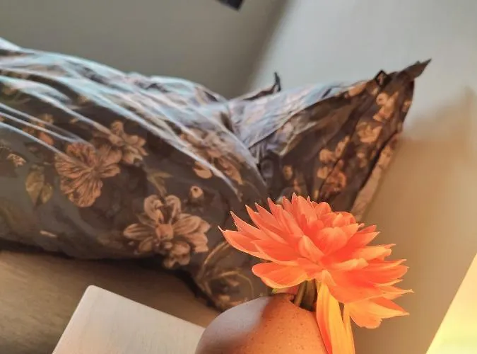 Lägenhet Modern And Comfortable In Attractive Neighborhood